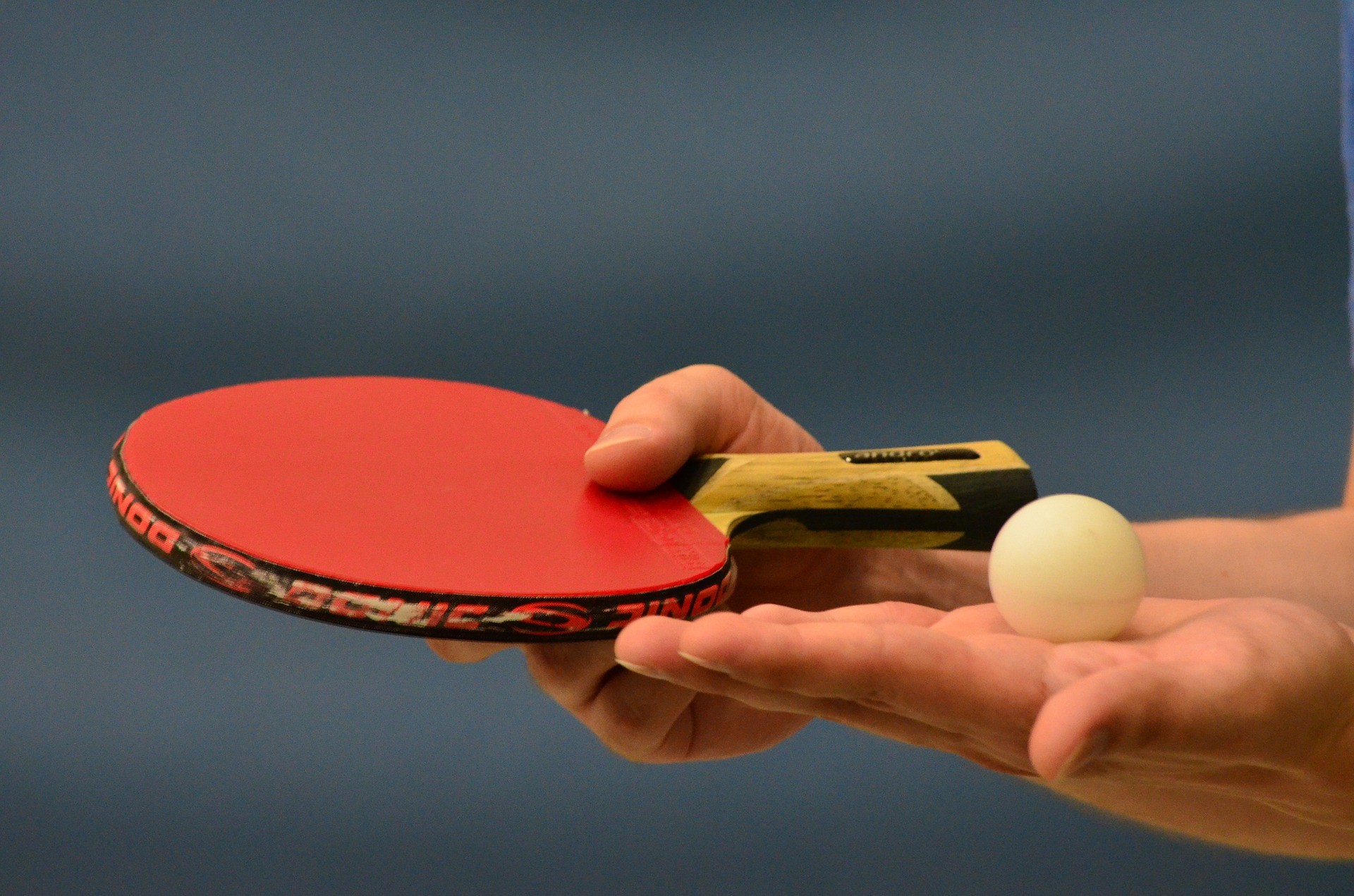 Basic Skills Needed In Playing Table Tennis Explained With Video